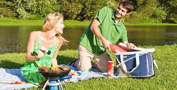 Campingaz Party Grill CV