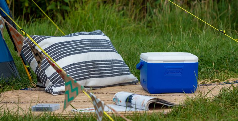 Coleman Performance 5QT Personal Cooler