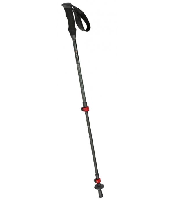 Camino Walking Pole 1 2050-camino-walking-pole-1.jpg
