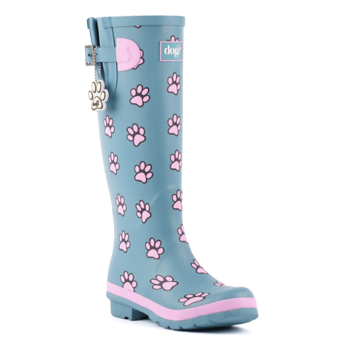Lazy Dogz Teal Wellington Boots 1 2456-lazy-dogz-teal-wellington-boots-1.png