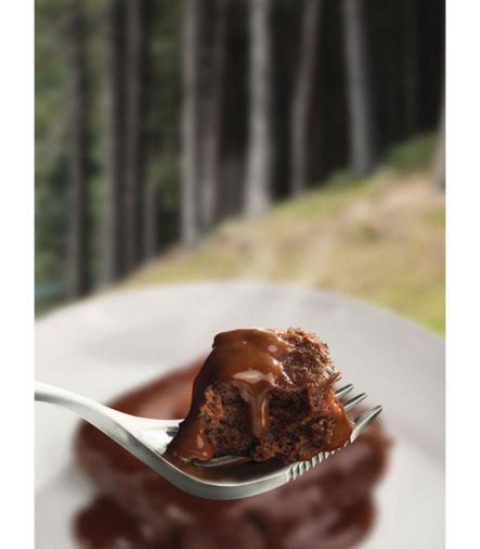 Wayfayrer Chocolate Pudding